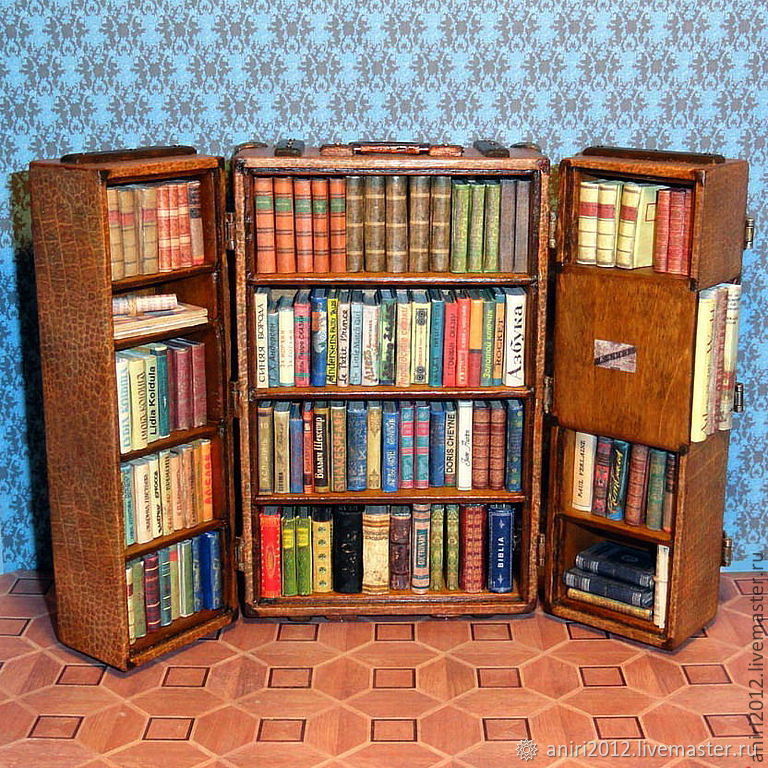 Мини библиотека с вб. Книжный шкаф ДЕАГОСТИНИ. Книжный шкаф маленький. Маленький шкаф для книг. Книжный шкаф миниатюра.