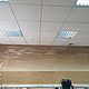 Роспись стены в офисе. Декор. Любаша и компания. Ярмарка Мастеров.  Фото №5