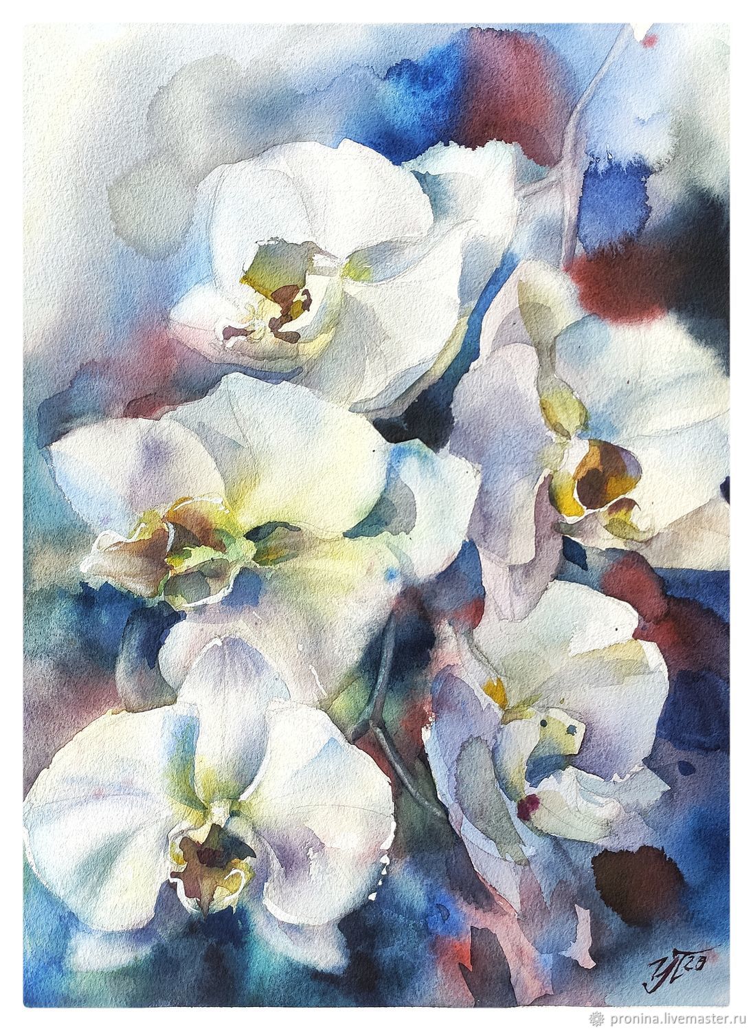 Белая Орхидея акварель