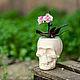 Pots Skull. Pots1. artforma. Online shopping on My Livemaster.  Фото №2