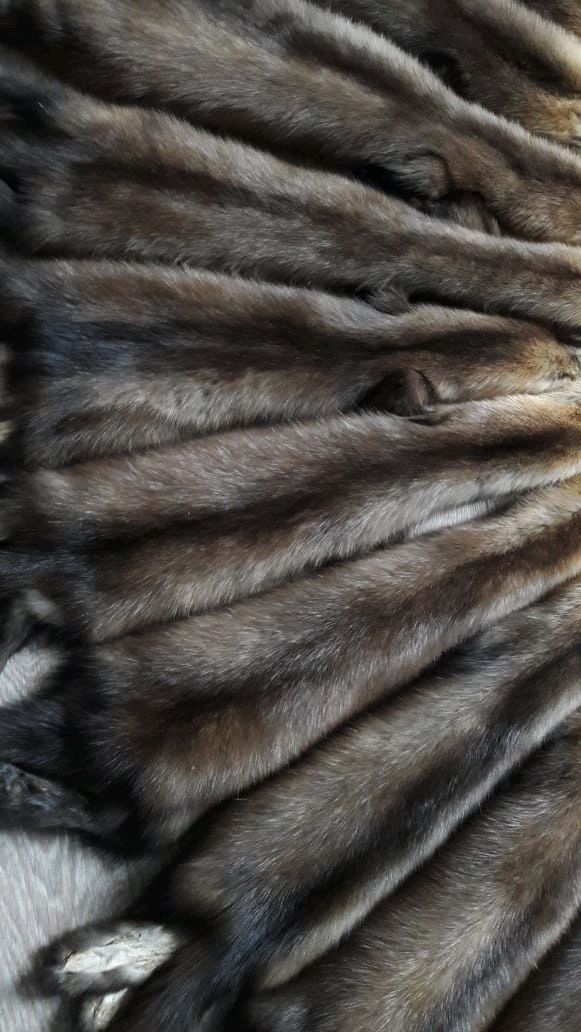 Купить Мех В Перми На Авито Бу