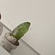 10 pieces - Chrysolite pieces, small crystals. Minerals. Crystalarium. My Livemaster. Фото №4