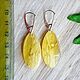 Amber. Earrings 'Creamy' amber silver. Earrings. Frollena II. Natural Baltic amber. My Livemaster. Фото №5