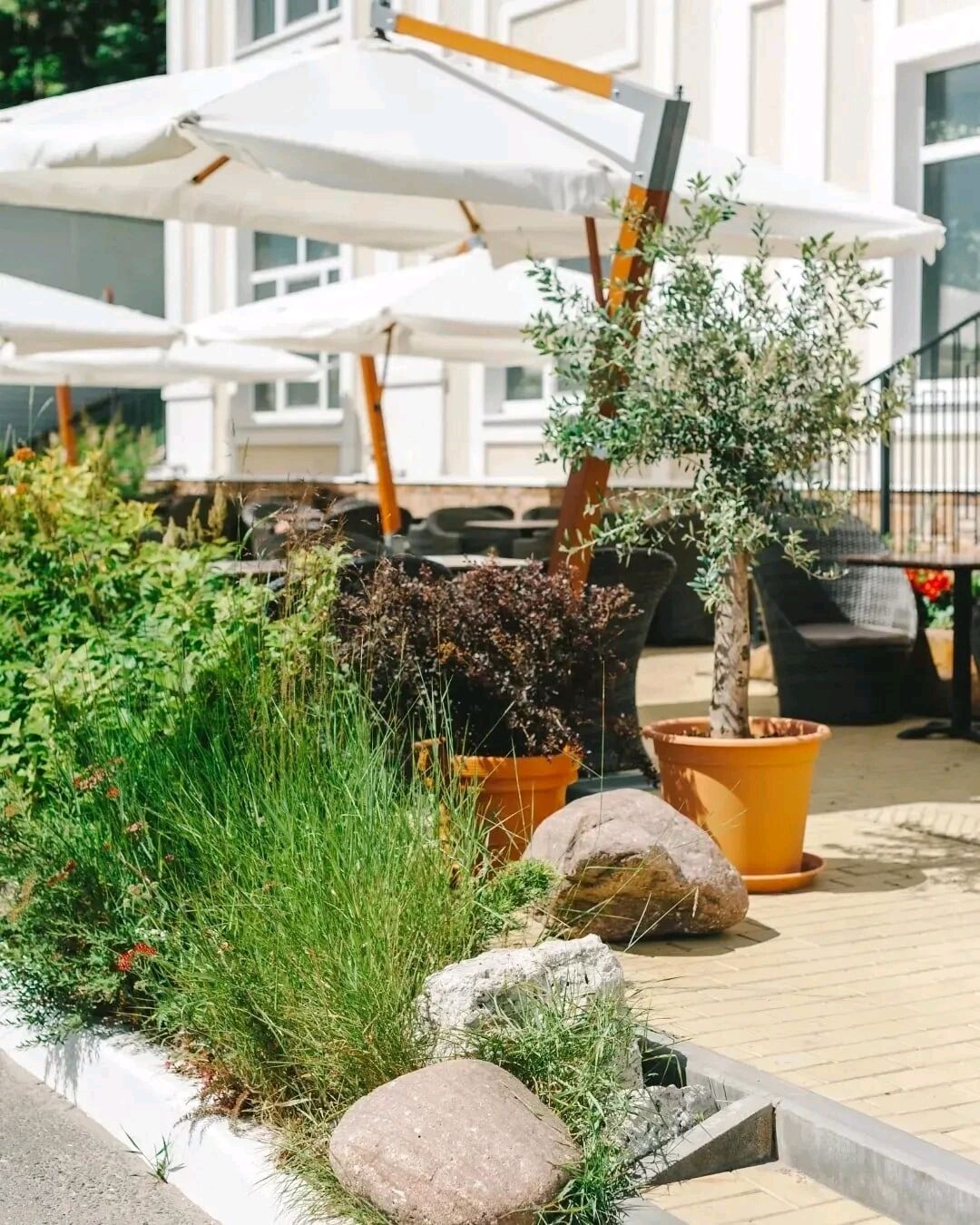 Озеленение террас – заказать на Ярмарке Мастеров – RN40YRU | Элементы ...