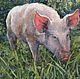 Piglet on a walk. Oil on canvas. 45h50 cm2017 g. Pictures. Tatiana Chepkasova. Online shopping on My Livemaster.  Фото №2