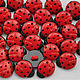 Buttons ladybug Art. One thousand one hundred ninety seven, Buttons, Ivanovo,  Фото №1