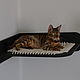 Wall-mounted complex for cats ' Cosmos -10'. Ladders, steps for animals. VIMBESK. My Livemaster. Фото №4