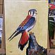 Order Oil painting 30*40 cm. Falco.  Falcon. White swan. Livemaster. . Pictures Фото №3