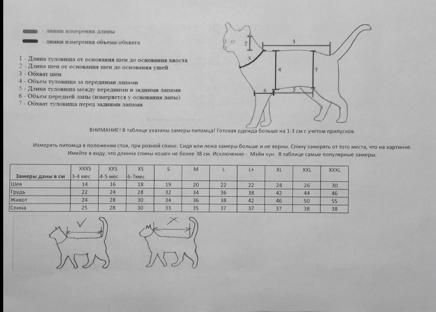 Размеры шлеек для кошек таблица с фото