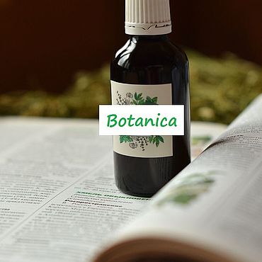 Косметика ручной работы. Ярмарка Мастеров - ручная работа Botanica, растительный эликсир для роста и укрепления волос, 50 мл. Handmade.