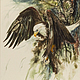 American eagle (Orlan), watercolor, Pictures, Novosibirsk,  Фото №1