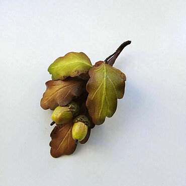 Украшения ручной работы. Ярмарка Мастеров - ручная работа Брошь: Дубок. Брошь с листьями и желудями. Фоамиран. Handmade.