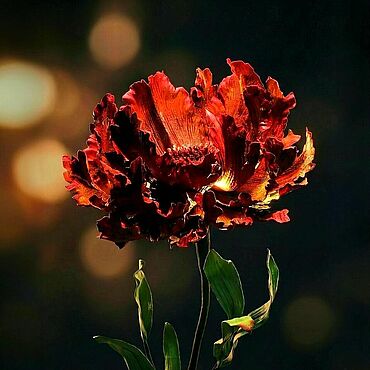 Для дома и интерьера ручной работы. Ярмарка Мастеров - ручная работа Цветок-ночник "Бархатный огонек". Handmade.