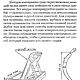 Заказать Выделка шкур и скорняжные работы, книга 2000 года. EcoLife_23. Ярмарка Мастеров. . Схемы для шитья Фото №3