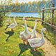 Oil painting. Geese-geese... Summer landscape, Pictures, Zhukovsky,  Фото №1