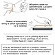 Браслет с натуральным аметистом 8 мм. Браслет из бусин. ШЁПОТ КАМНЯ. Ярмарка Мастеров.  Фото №5