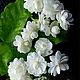 Духи Gucci Bloom : Жасмин и Тубероза. Духи. Морошка и Розмарин (Надежда). Ярмарка Мастеров.  Фото №4