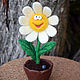 Подарок на 8 марта игрушка войлочная цветок "Счастливая Ромашка". Фотокартины. Мягкая красота (softbeauty). Ярмарка Мастеров.  Фото №6