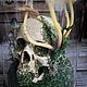 Флорариум в клоше "Yorick". Ритуальная атрибутика. Mystic Lab. Интернет-магазин Ярмарка Мастеров.  Фото №2
