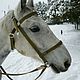 Working with bridle for horse, Bridles, Kirov,  Фото №1