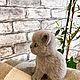 Котик Ноксик. Войлочная игрушка. Бычкова Ольга. Ярмарка Мастеров.  Фото №5