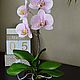 Орхидея из холодного фарфора. Комнатные растения. Демьянцева Лариса. Интернет-магазин Ярмарка Мастеров.  Фото №2