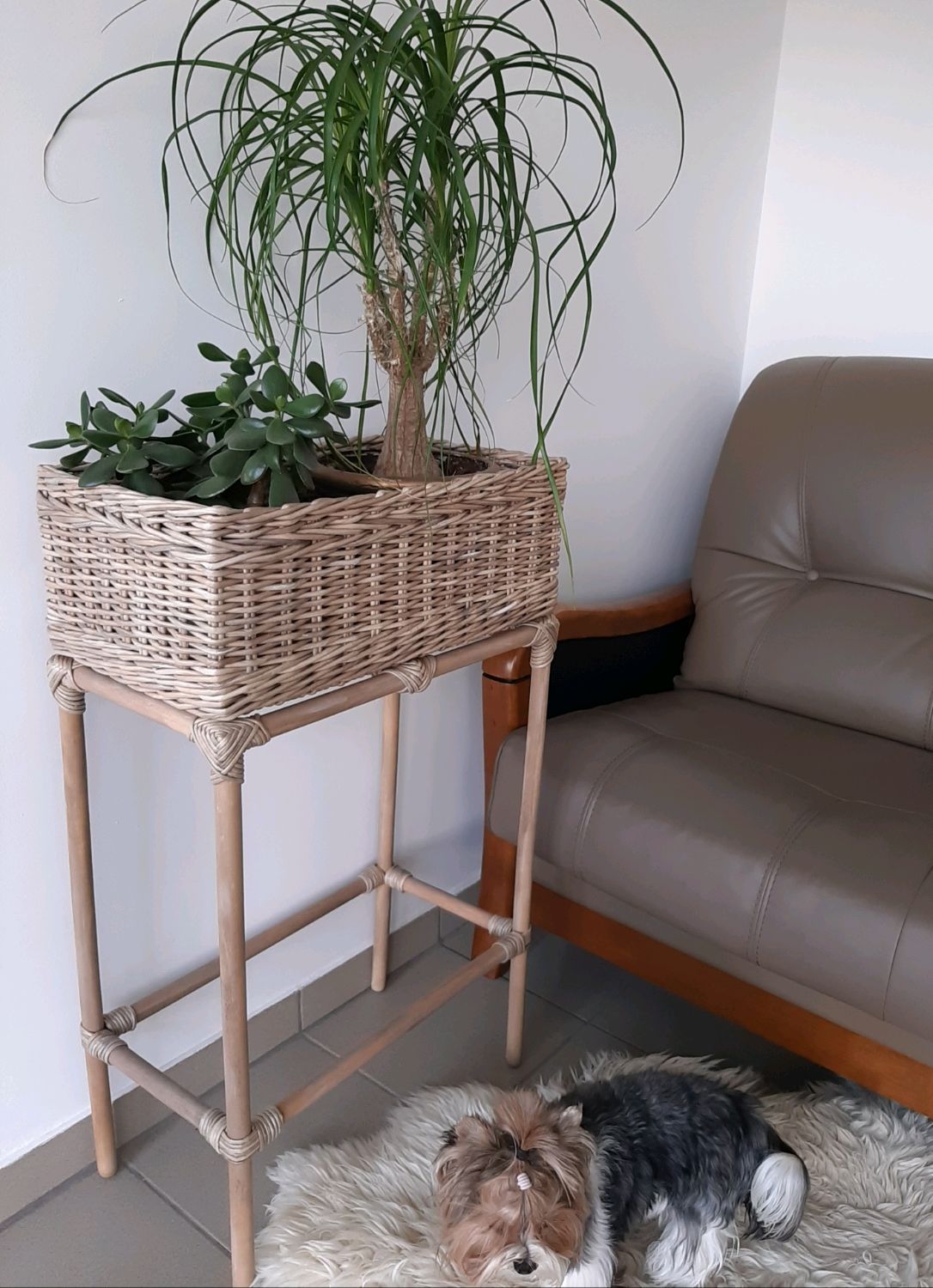 Жардиньерка. Подставка для цветов плетеная в интернет-магазине на ...