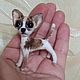 Order Chihuahua-miniature 5,5 cm, crocheted. Lebedeva Lyudmila (knitted toys). Livemaster. . Miniature figurines Фото №3