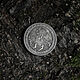 Coin Coven of Witches, Souvenir coins, Moscow,  Фото №1