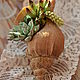 Shell with succulents and cacti. Composition. KG_flowers. My Livemaster. Фото №4
