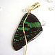 Order Earrings Are Real Butterfly Wings Urania Black Green Gilding. WonderLand. Livemaster. . Earrings Фото №3