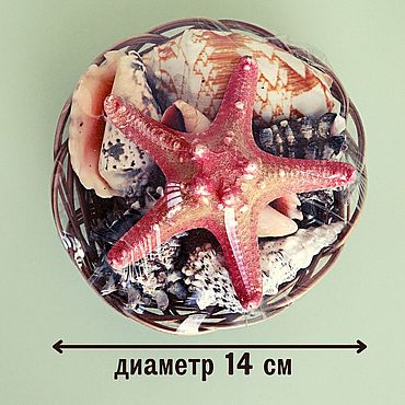 Набор ракушек с филиппинской звездой для декора и творчества. . Материалы для творчества ручной работы - Ярмарка Мастеров Материалы для творчества ручной работы. Ярмарка Мастеров - ручная работа Набор ракушек с филиппинской звездой для декора и творчества. Handmade.