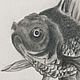 Order  ' Fish in a glass' pencil painting graphics. flamemilady. Livemaster. . Pictures Фото №3