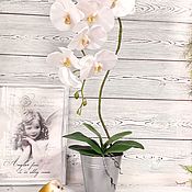 Интерьерная композиция: Цветы в гипсовой вазе
