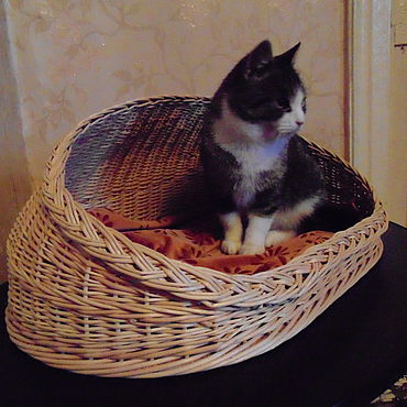 домик для кота из лозы плетеный | Дзен
