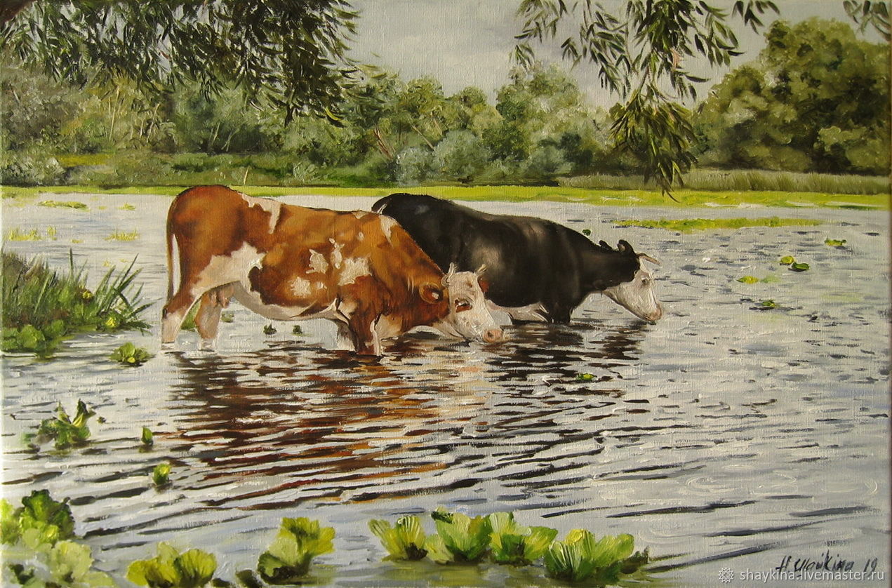 Коровы на водопое (с картины а.Степанова, 1858-1923)