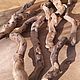 Набор коряг дрифтвуд driftwood для декора, Природные материалы, Горячий Ключ,  Фото №1