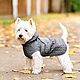 Куртка-попона Дождевик для собаки. Одежда для питомцев. Winterpooh. Интернет-магазин Ярмарка Мастеров.  Фото №2
