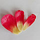 Peony Coral Charm Set of Silicone Viners and Cutters. Molds for making flowers. ceramic flowers. My Livemaster. Фото №4