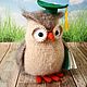 Order Owl - a gift for a biologist. JuliaCrochetToys. Livemaster. . Stuffed Toys Фото №3