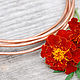 3,0 mm; copper wire (50 cm cut), Wire, Moscow,  Фото №1
