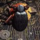 Кулон "Один Всеотец" (зуб моржа, морëный дуб, агат). Оберег. BJÖRN ↟ CRAFT. Интернет-магазин Ярмарка Мастеров.  Фото №2