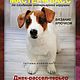 Мастер-класс ДЖЕК-РАССЕЛ-ТЕРЬЕР, Схемы для вязания, c Домодедово,  Фото №1