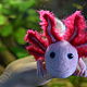 felt toy: The axolotl. Felted Toy. Игрушки- Теплушки (felting). My Livemaster. Фото №4