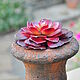 Order Flowerpot with artificial succulent for home and garden. Decor concrete Azov Garden. Livemaster. . Composition Фото №3