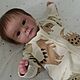 Кукла реборн Felicia, Куклы Reborn, Каневская,  Фото №1