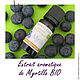 Blueberry aromatic extract (Aroma zone Myrtille). Extracts. For inventions. Online shopping on My Livemaster.  Фото №2