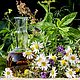 Mix of hydrolates for problem skin Chamomile, mint and rosemary, Tonics, Moscow,  Фото №1