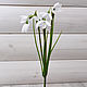 Подснежник 11449. Цветы искусственные. SM-Floristic (искусственные цветы) (sm-floristic). Ярмарка Мастеров.  Фото №5