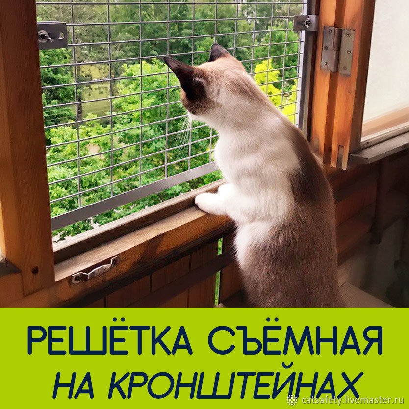 Купить сетку на окна для кошек. Оконная сетка антикошка. Решетка антикошка. Сетка антикошка на балкон. Клетка антикошка.